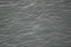 Missing Picture